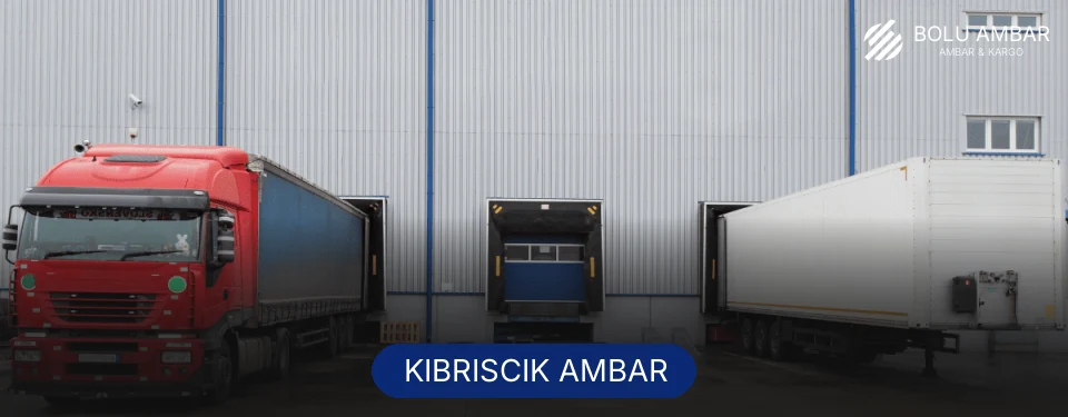 Kıbrıscık Ambar