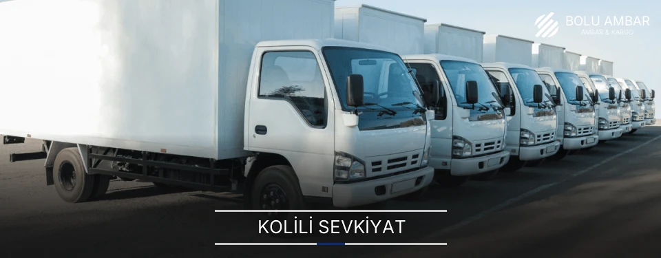 Bolu Kolili Sevkiyat Ambar Firmaları